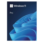 [HAV-00163] Microsoft Win Pro FPP 11 64-bit Eng Intl USB